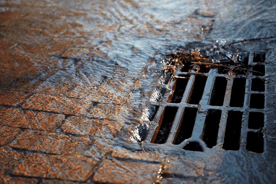 Stormwater Services in Auckland